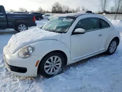 Volkswagen Beetle Vehiculos salvage en venta: 2013 Volkswagen Beetle