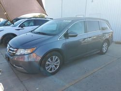 Honda salvage cars for sale: 2016 Honda Odyssey EXL