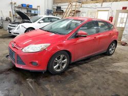 Salvage cars for sale at Ham Lake, MN auction: 2013 Ford Focus SE