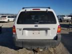 2005 Ford Escape XLT