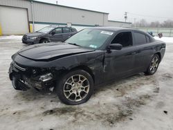 Salvage cars for sale at Leroy, NY auction: 2015 Dodge Charger SE