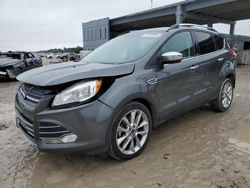 Ford Escape salvage cars for sale: 2016 Ford Escape SE