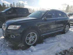 Audi salvage cars for sale: 2013 Audi Q5 Premium Hybrid