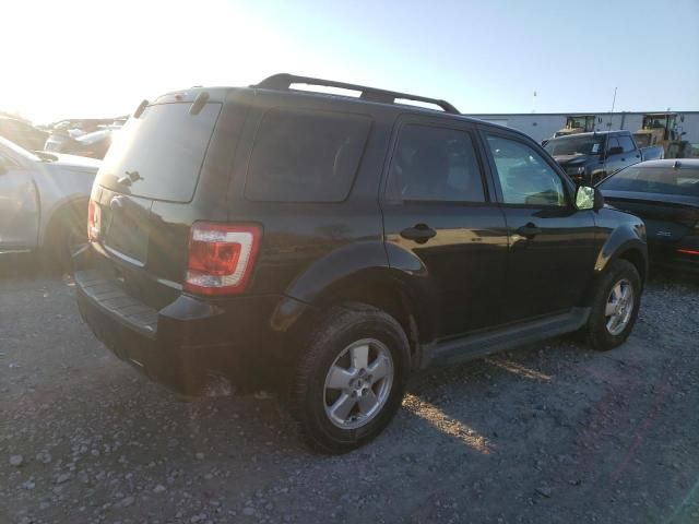 2011 Ford Escape XLT