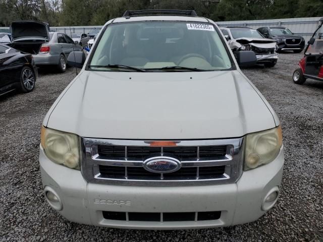 2008 Ford Escape XLT