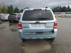 2008 Ford Escape HEV