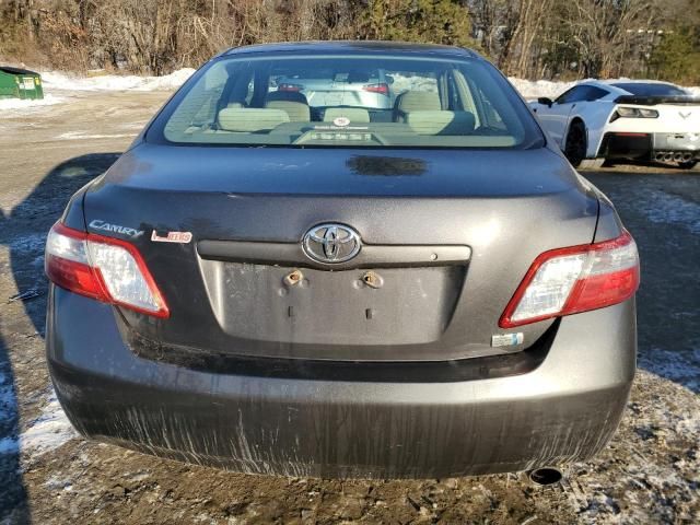 2009 Toyota Camry Hybrid