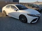 2023 Toyota Camry SE Night Shade