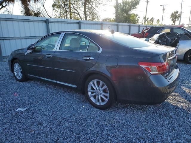 2010 Lexus ES 350