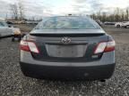 2007 Toyota Camry Hybrid