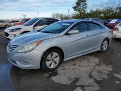 2014 Hyundai Sonata GLS en venta en Lexington, KY