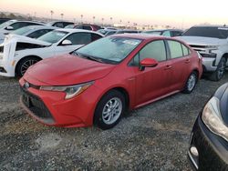 Toyota Corolla salvage cars for sale: 2021 Toyota Corolla LE