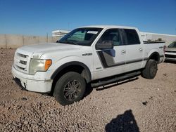 Salvage SUVs for sale at auction: 2014 Ford F150 Supercrew