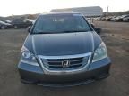 2008 Honda Odyssey EXL