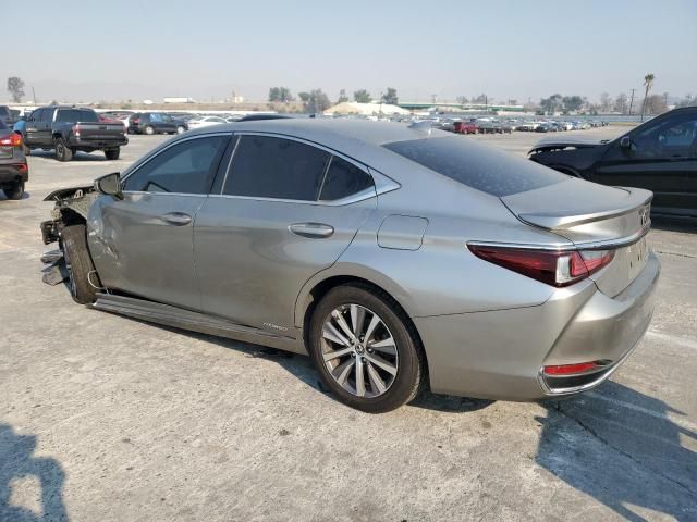 2020 Lexus ES 300H Base