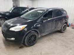 Salvage cars for sale at Cicero, IN auction: 2014 Ford Escape SE