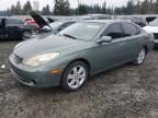 2005 Lexus ES 330