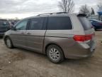 2008 Honda Odyssey EXL