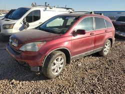 SUV salvage a la venta en subasta: 2008 Honda CR-V EXL