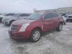 Carros salvage a la venta en subasta: 2010 Cadillac SRX