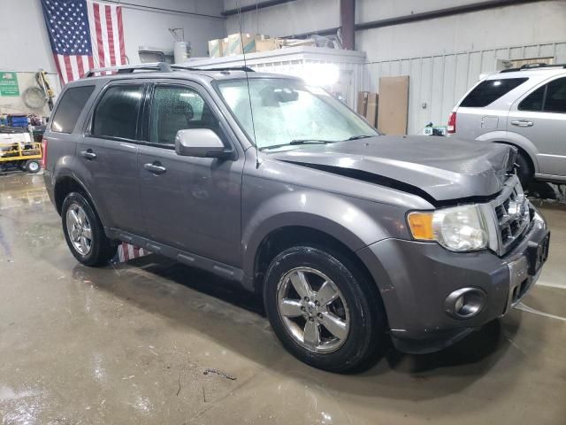 2011 Ford Escape Limited