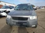 2004 Ford Escape XLT