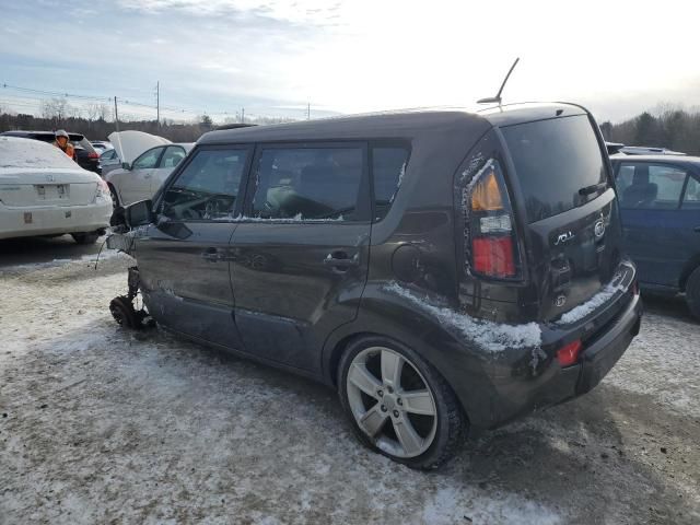 2011 KIA Soul +