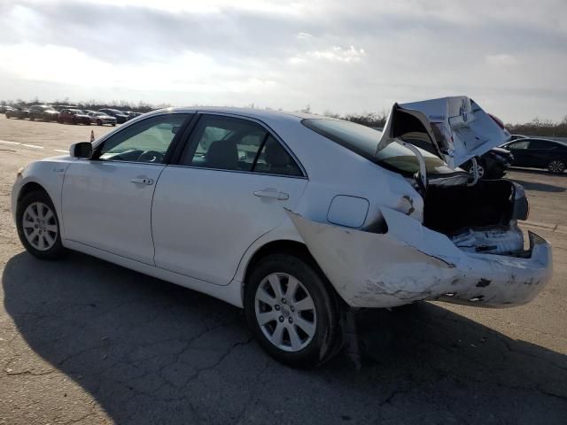 2009 Toyota Camry Hybrid