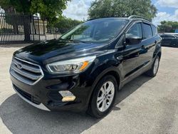 Ford Escape salvage cars for sale: 2017 Ford Escape SE