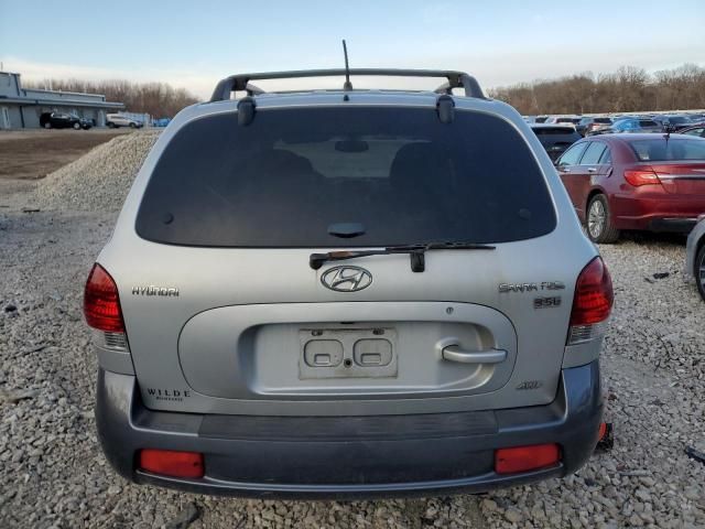 2006 Hyundai Santa FE GLS