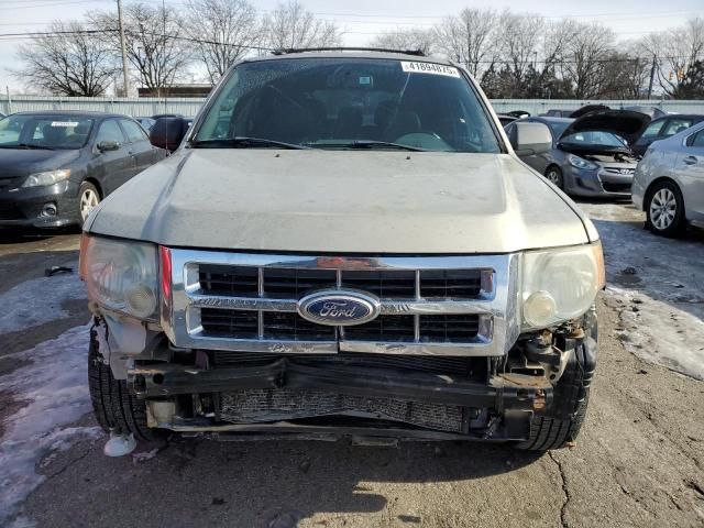 2010 Ford Escape XLT