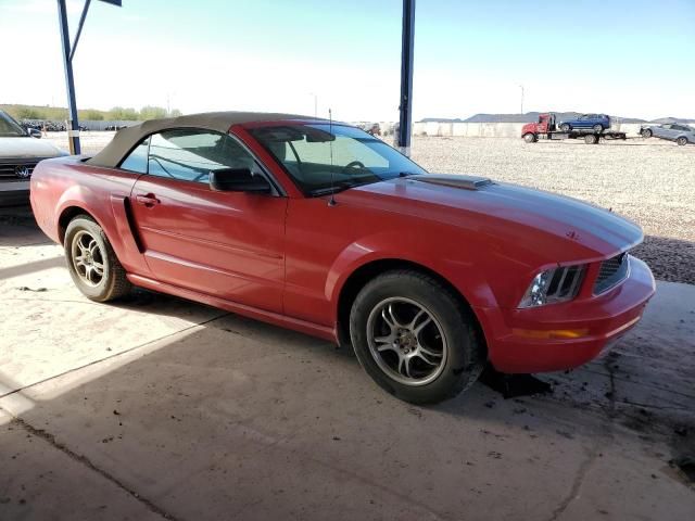 2005 Ford Mustang