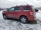 2009 Ford Escape Limited