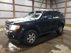 Ford Escape salvage cars for sale: 2010 Ford Escape Limited