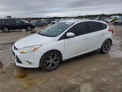 Salvage cars for sale from Copart Houston, TX: 2013 Ford Focus SE