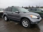 2010 Honda CR-V EXL