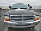 1997 Dodge Dakota