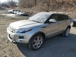 Land Rover Vehiculos salvage en venta: 2013 Land Rover Range Rover Evoque Pure Plus