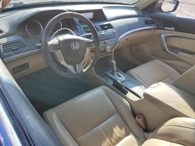 2010 Honda Accord EXL