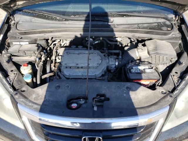 2010 Honda Odyssey EXL