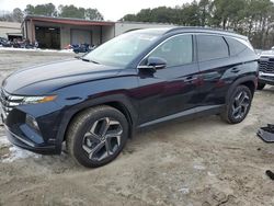 Salvage cars for sale at Seaford, DE auction: 2024 Hyundai Tucson Limited