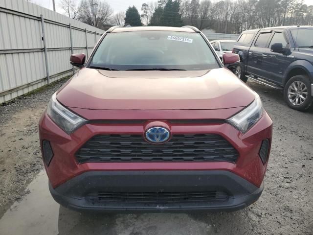 2022 Toyota Rav4 XLE