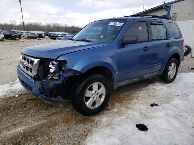 2010 Ford Escape XLS