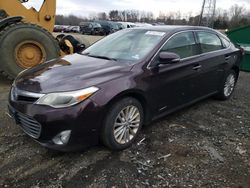 Salvage cars for sale at Windsor, NJ auction: 2013 Toyota Avalon Hybrid