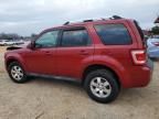 2010 Ford Escape Limited