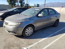 KIA Forte Vehiculos salvage en venta: 2012 KIA Forte EX