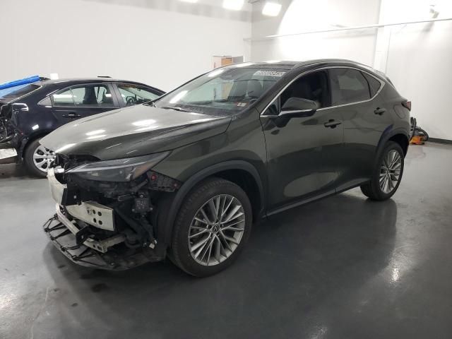 2023 Lexus NX 350H