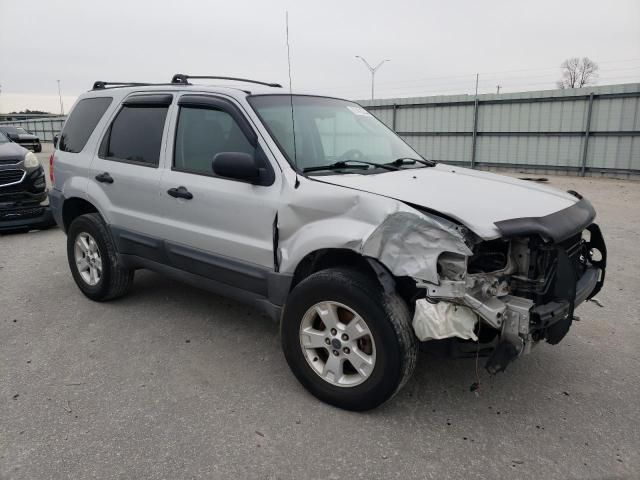 2005 Ford Escape XLT