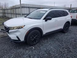 2023 Honda CR-V Sport en venta en Arlington, WA