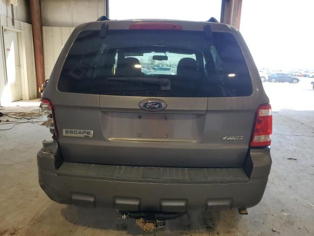 2009 Ford Escape XLT